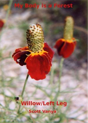 Cover of the book My Body is a Forest-Willow/Left Leg by C. J. Prince