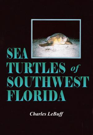 Book cover of Sea Turtles of Southwest Florida