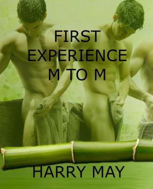 bigCover of the book First Experience: M to M by 