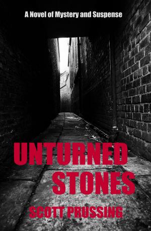 Cover of the book Unturned Stones by Scott Prussing, Kim Faulks, Deena Remiel, Alexia Purdy, Rising Sign Books, Lizzy Ford