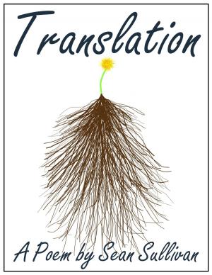 Cover of the book Translation by Sean Sullivan