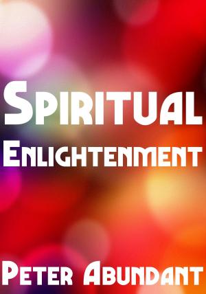 Cover of the book Spiritual Enlightenment by Monika Mahr