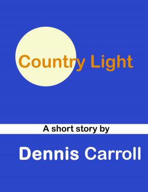 Book cover of Country Light