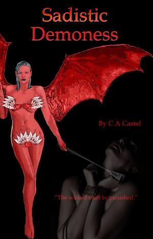 Cover of the book Sadistic Demoness by Robyn Donald
