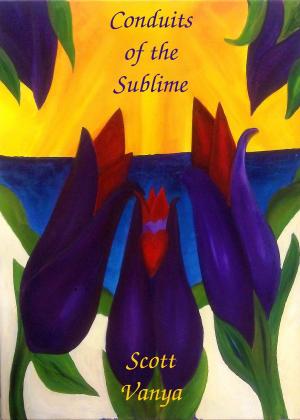 bigCover of the book Conduits of the Sublime by 