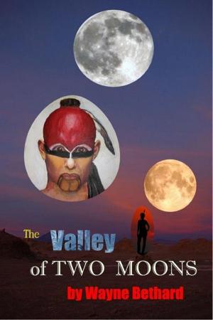 bigCover of the book The Valley of Two Moons by 