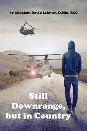 Book cover of Still Downrange, but in Country: PTSD Parables