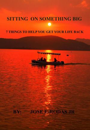 Cover of the book Sitting On Something Big: Seven Things To Help You Take Your Life Back by Curtis McHale