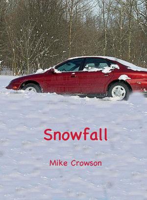 Cover of the book Snowfall by Mike Crowson