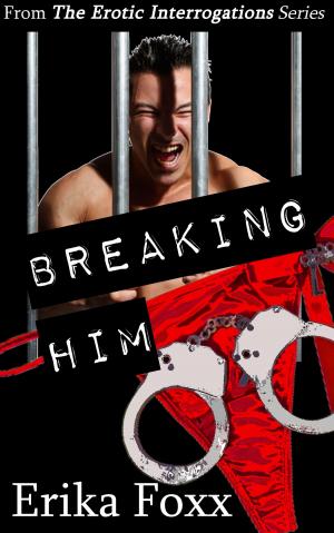 Cover of Breaking Him