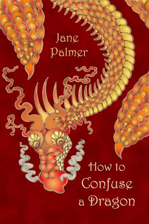 Cover of the book How to Confuse a Dragon by Jane Palmer