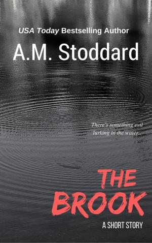 Cover of the book The Brook by Daniela Barisone