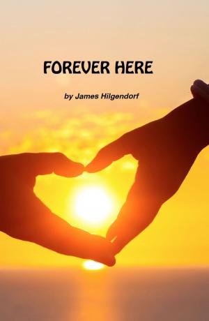 Cover of the book Forever Here by Nathan Berry