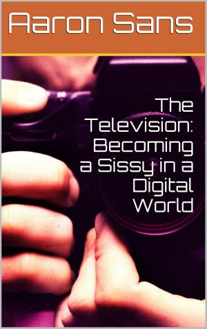 Cover of the book The Television: Becoming a Sissy in a Digital World by Charlie Bent