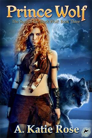 Cover of the book Prince Wolf by Jonathan D Allen