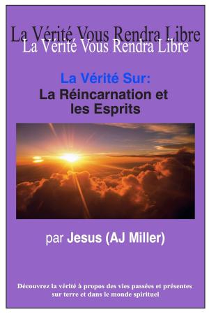 Cover of La Vérité Sur: La Réincarnation et les Esprits