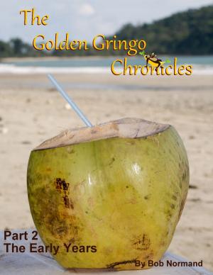 Book cover of The Golden Gringo Chronicles: Part 2