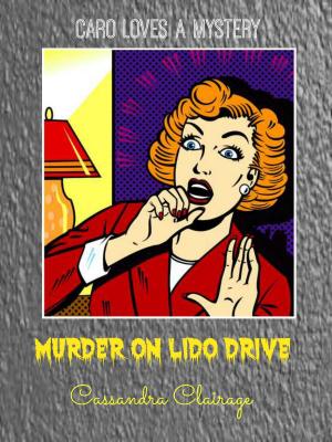 Book cover of Murder on Lido Drive