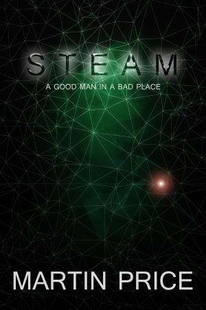 Cover of the book Steam by Lynn Achieng