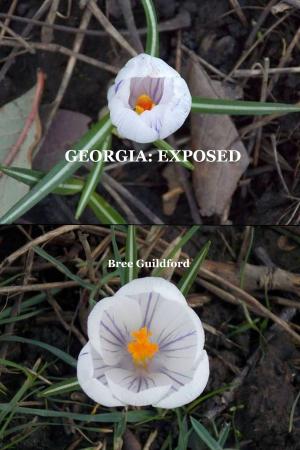 Cover of the book Georgia: Exposed by Violet Williams