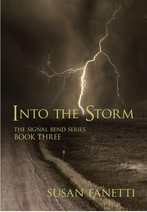 Cover of the book Into the Storm by Jessica Vain