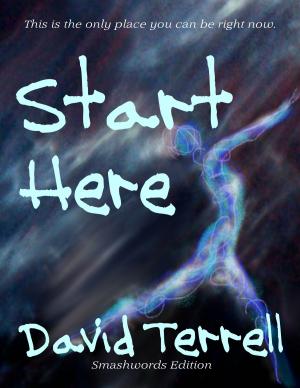 Cover of the book Start Here by Silvano Nieddu