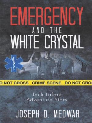 Cover of the book Emergency and the White Crystal by Katie Magnusson