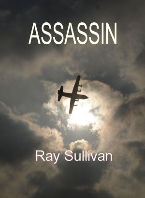 Cover of the book Assassin by Shaanzae Shahid