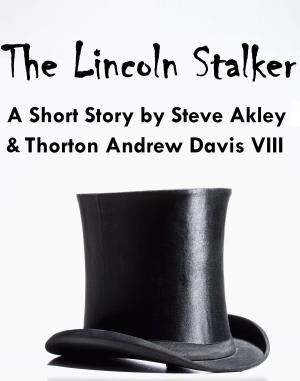 Book cover of The Lincoln Stalker