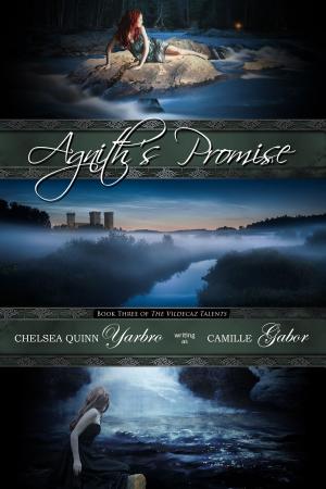 Book cover of Agnith's Promise