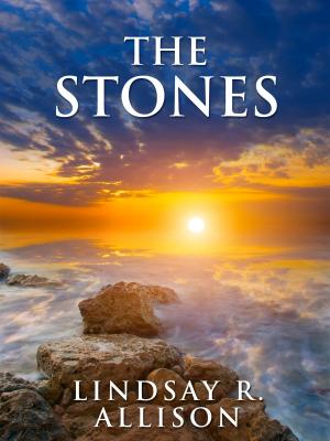 Cover of the book The Stones by John Hundley