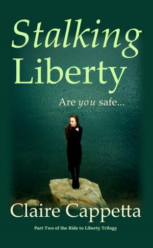 Book cover of Stalking Liberty