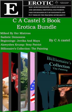 Book cover of C A Castel 5 Book Erotica Bundle