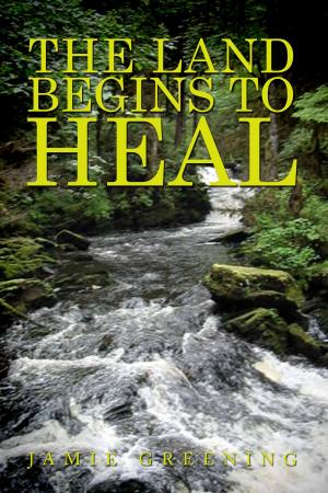 Cover of the book The Land Begins to Heal by Shawn Hendricks