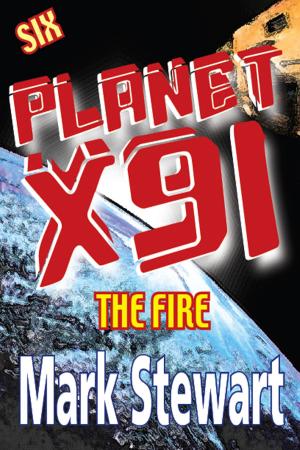 Cover of the book Planet X91 The Fire by E. E. Jackson