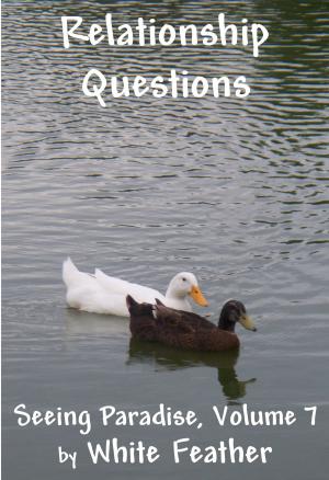 Cover of the book Seeing Paradise, Volume 7: Relationship Questions by White Feather