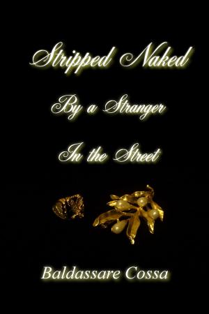 Cover of Stripped Naked by a Stranger in the Street