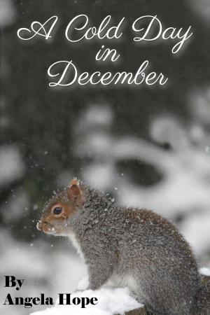 Cover of the book A Cold Day in December by Nicholas Kory