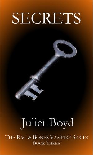 Cover of the book Rag & Bones: Secrets by RJ Crayton