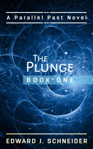 Cover of the book The Plunge (Parallel Past) Book 1 by Heather Macallister