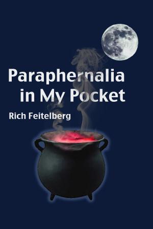 Book cover of Paraphernalia in My Pocket