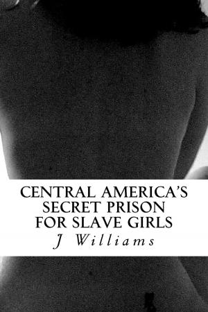 Cover of the book Central America’s Secret Prison For Slave Girls by C.J. Phillips
