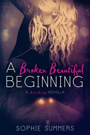 Cover of the book A Broken Beautiful Beginning by Katherine Hole