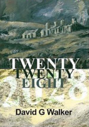Cover of the book Twenty Twenty Eight by Hilary Walker