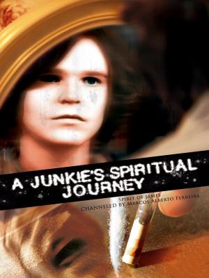 Cover of the book A Junkie's Spiritual Journey by Mike Williamson
