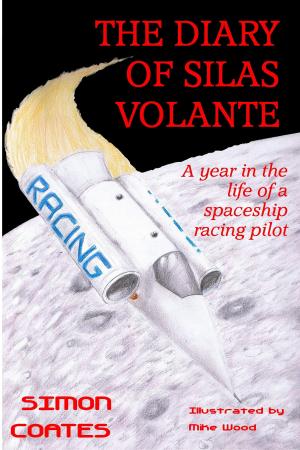 Cover of the book The Diary of Silas Volante by Rebecca Chastain