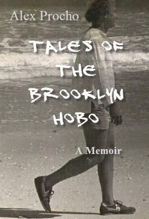 Cover of the book Tales of the Brooklyn Hobo by Barbara Fonger, Ky-Lee Hanson