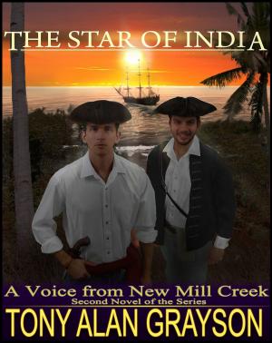 Cover of The Star of India