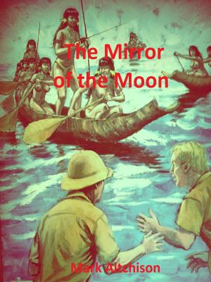 Cover of the book The Mirror of the Moon by Linda Townsdin