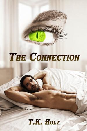 Cover of the book The Connection by Rosalie Redd